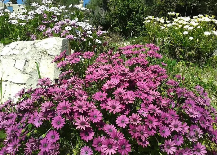 Vardia & Apartamento Mikros Gialos