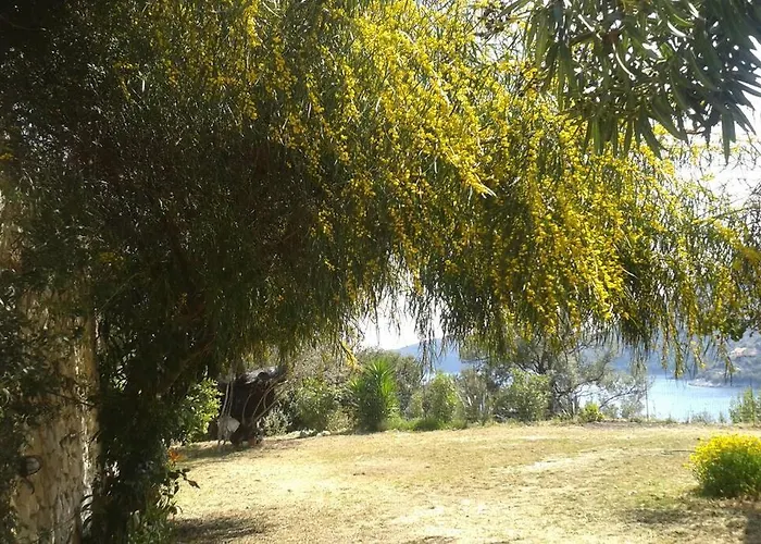 Vardia & Apartamento